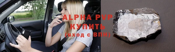 индика Абаза