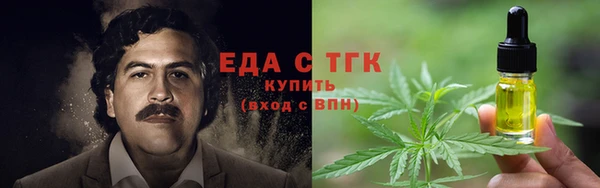 индика Абаза