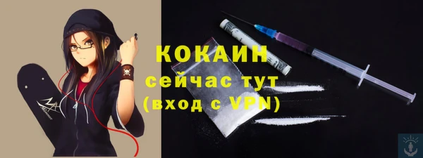индика Абаза