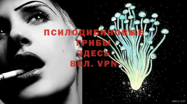 стафф Абдулино